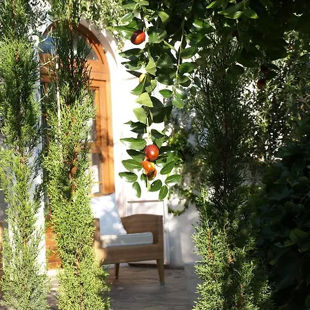 La Almunia Del Valle Hotel
